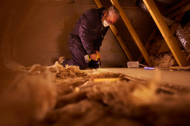 Best Commercial Insulation Services  in Weyers Cave, VA